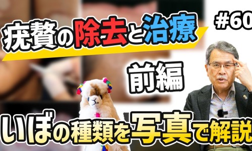 木瓜美容的功效和作用-木瓜美容的功效网 - 为你提供木瓜的功效与作用丰胸吗、木瓜美容的功效与禁忌